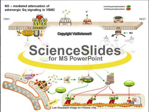 ScienceSlides