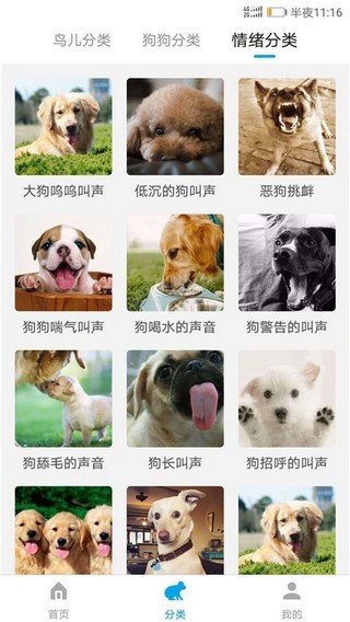 萬(wàn)能動(dòng)物翻譯器
