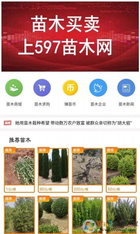 597苗木網(wǎng)