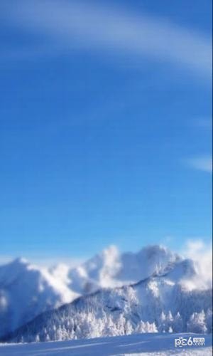 365天氣預(yù)報(bào)