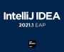 IntelliJ IDEA旗艦破解版