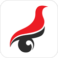 學(xué)信網(wǎng)手機版下載
