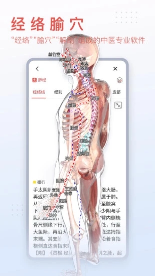 3Dbody解剖APP手機版