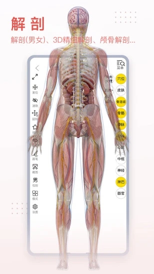 3Dbody解剖APP手機版