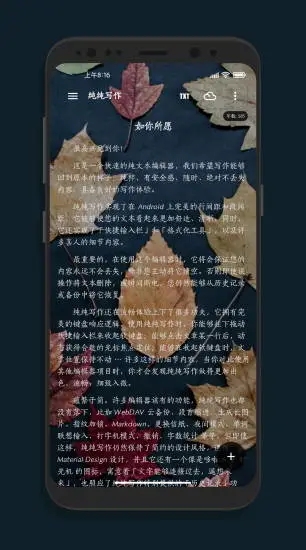 純純寫作文本編輯器