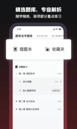 愈見心理(心理咨詢軟件)