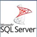 Microsoft SQL Server 2019 Developer簡體中文版