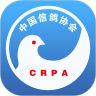 中國信鴿協(xié)會(huì)APP下載