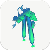 黃絲瓜食譜APP