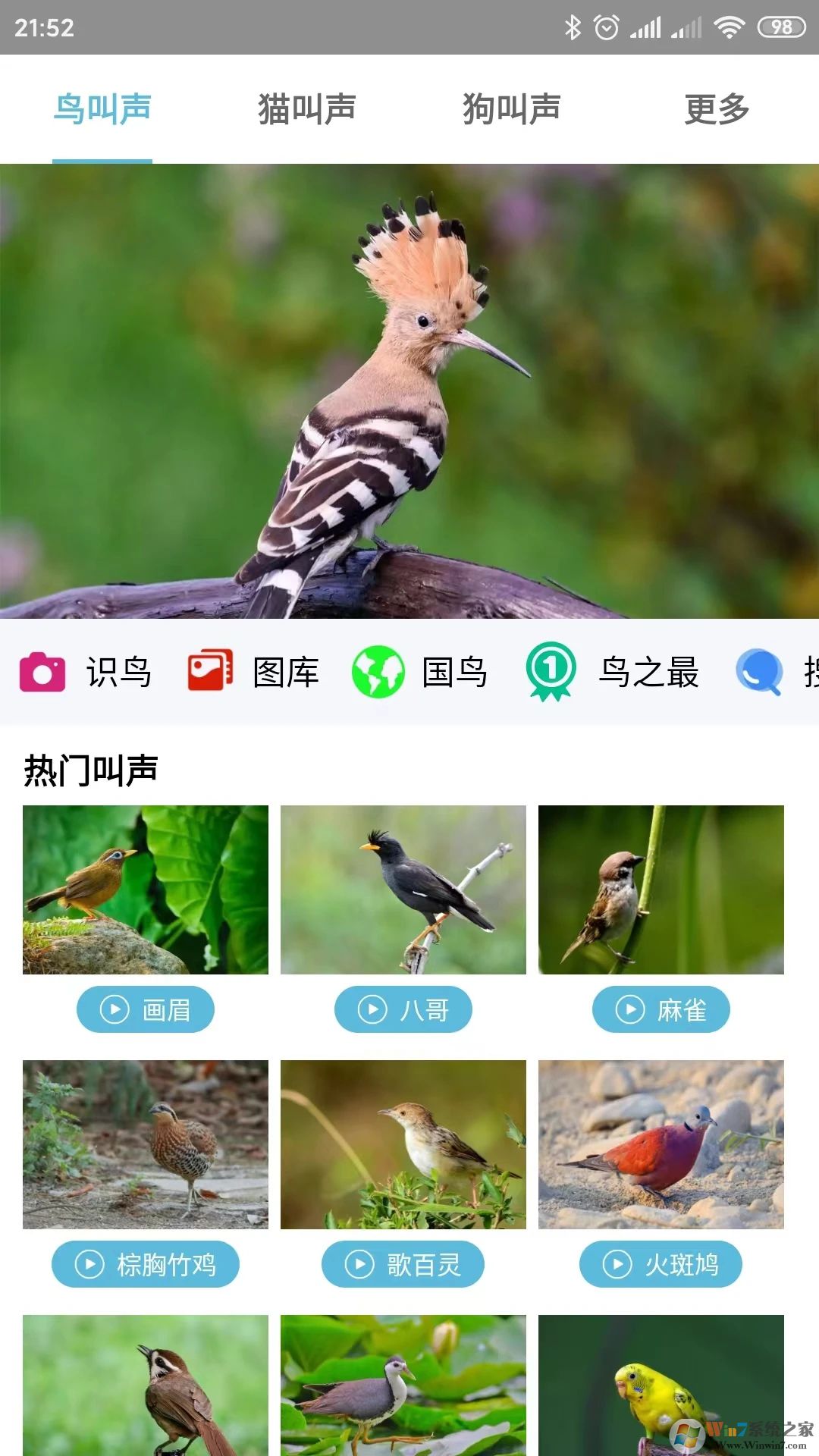 鳥(niǎo)叫聲大全APP