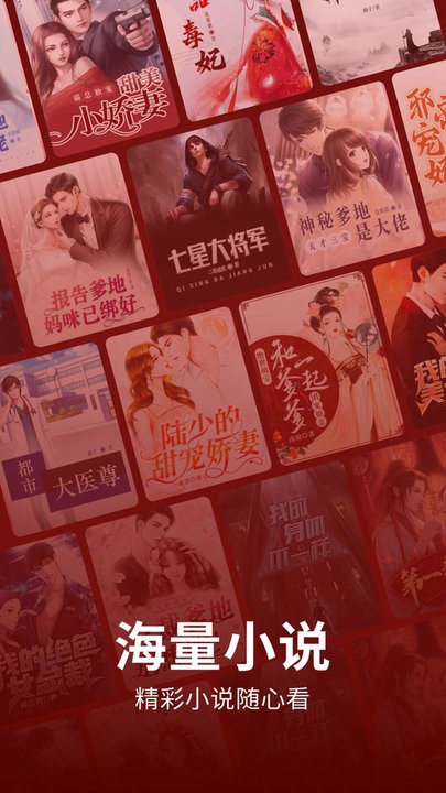皮皮免費小說