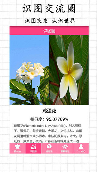 拍照識(shí)物app最新版