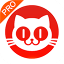 貓眼專業(yè)版APP