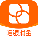 哈銀消金貸款分析平臺(tái)