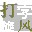 打字旋風(fēng)