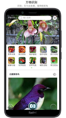萬物識別APP免費版