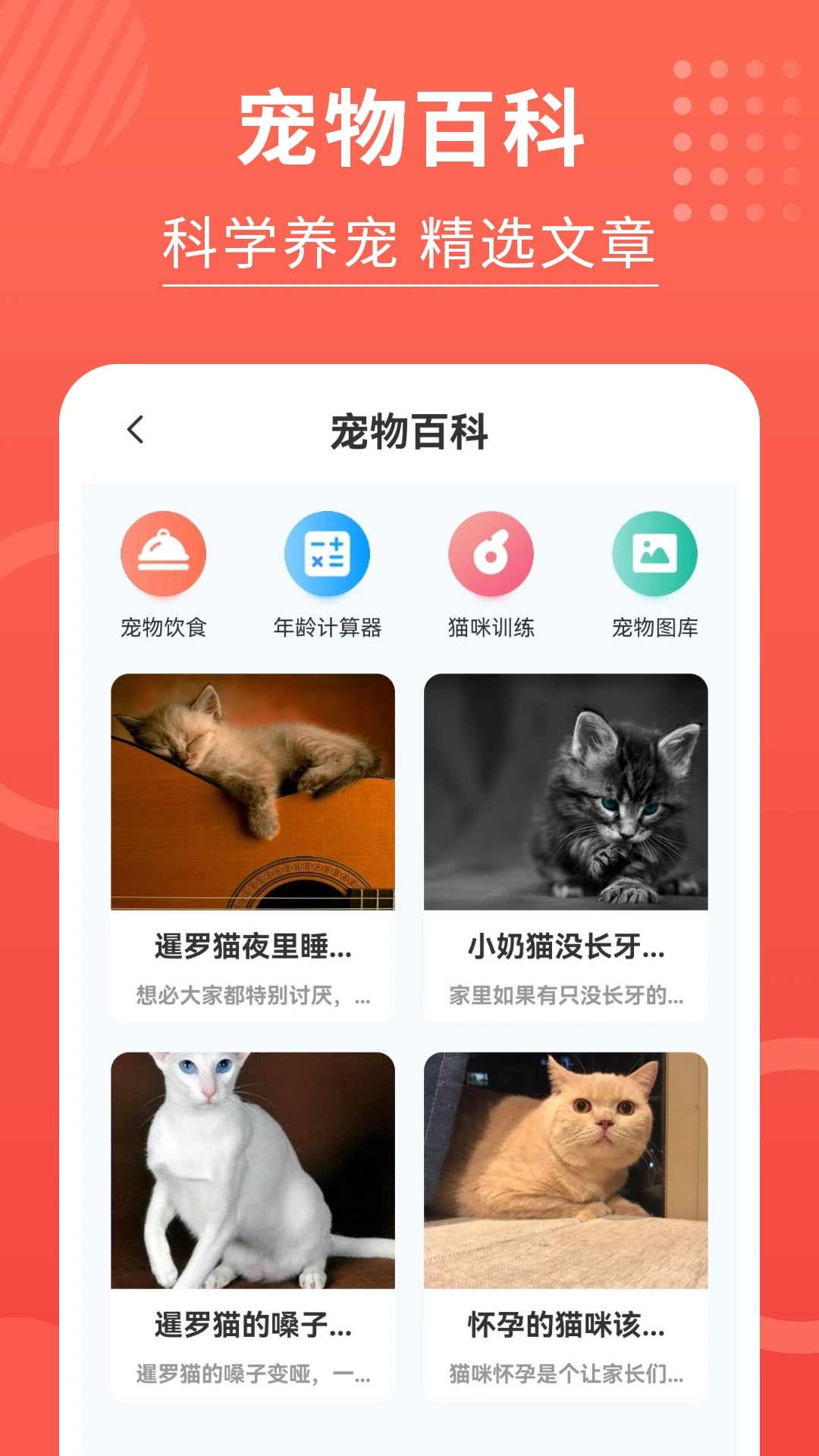 貓貓語(yǔ)言翻譯器