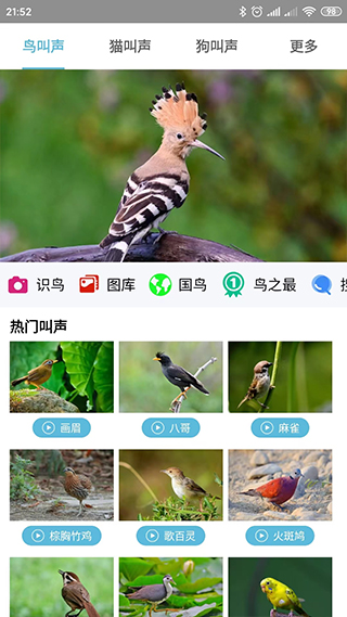 鳥叫聲大全app