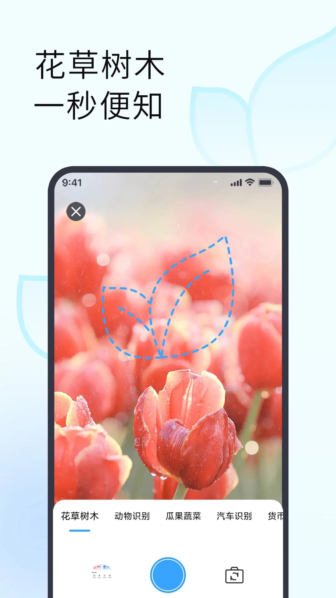 拍照識別植物APP
