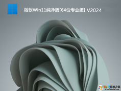 Win11專業(yè)純凈版下載|Win11純凈版64位專業(yè)版(永久激活)V2024