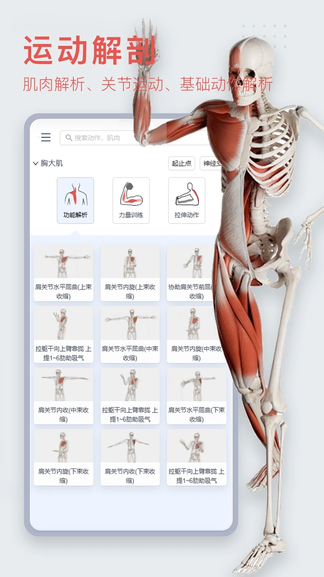 3Dbody人體解剖