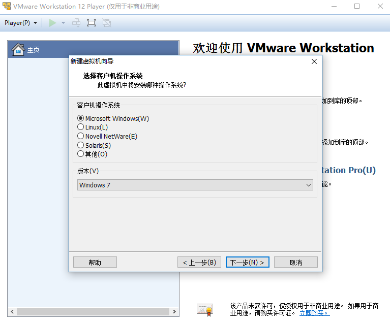 vmwarePlayer