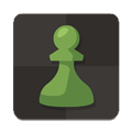 國(guó)際象棋玩與學(xué)安卓版