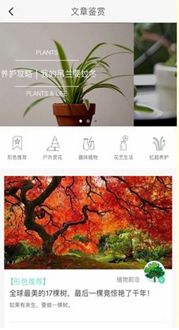 花伴侶安卓版