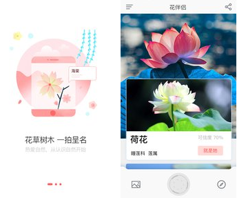 花伴侶安卓版