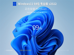 Win11系統(tǒng)下載安裝|Win11裝機(jī)版(ISO 23H2 64位)純凈版v2024