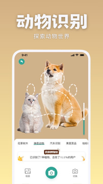 識花君官方版app