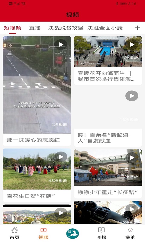 掌心臨海升級版
