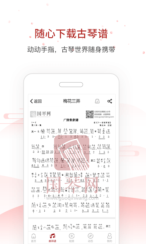 國琴網(wǎng)官網(wǎng)手機(jī)版