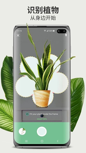 Blossom植物識別app