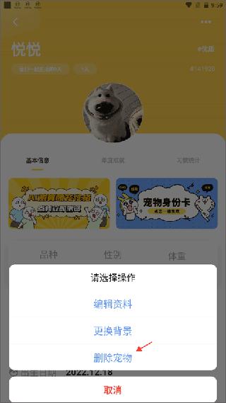 寵日常app使用教程4