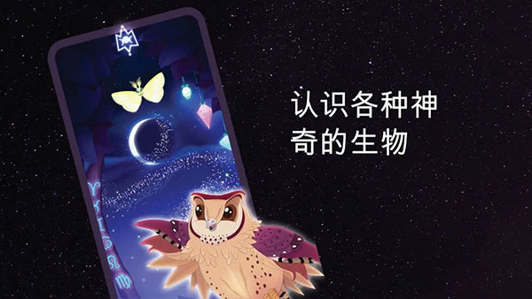 彩翼之星夜無限熒光幣