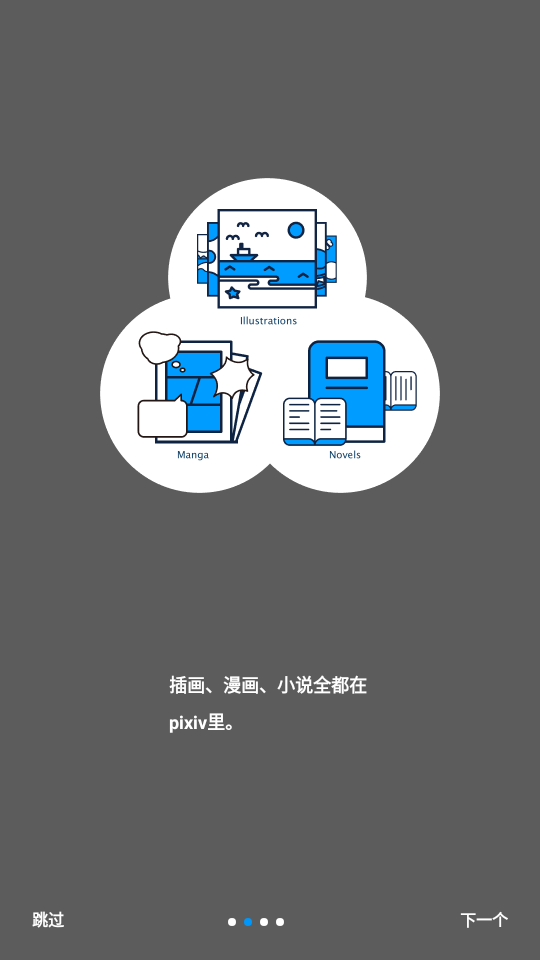 proburn中文版