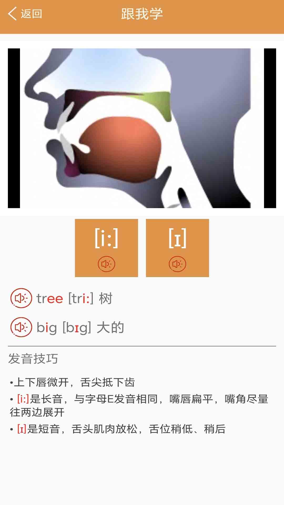 大貓英語國際音標(biāo)最新版