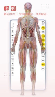 3Dbody解剖標準版