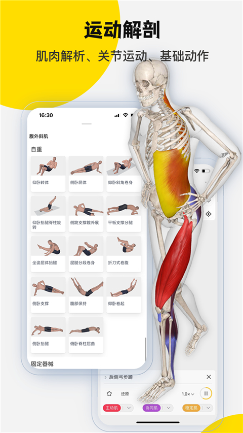 3Dbody解剖標準版