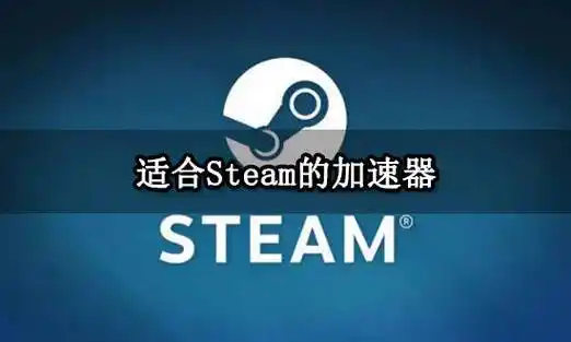 steam加速器永久免費版-steam免費加速器電腦版