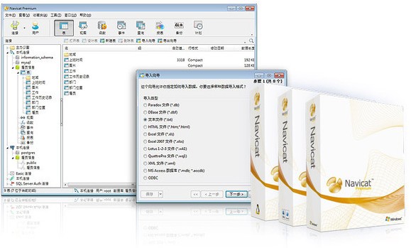 navicat premium純凈版