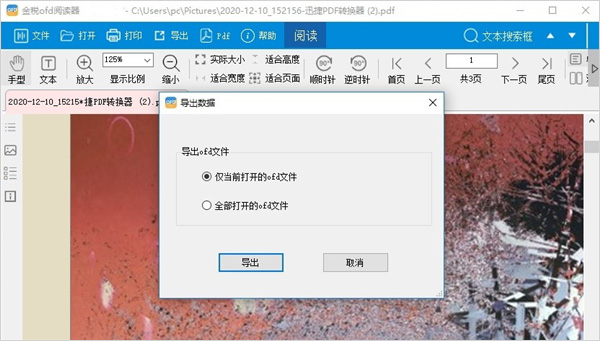 金稅OFD閱讀器桌面版(附教程)