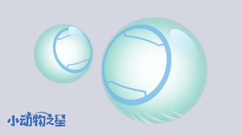 小動(dòng)物之星周年版