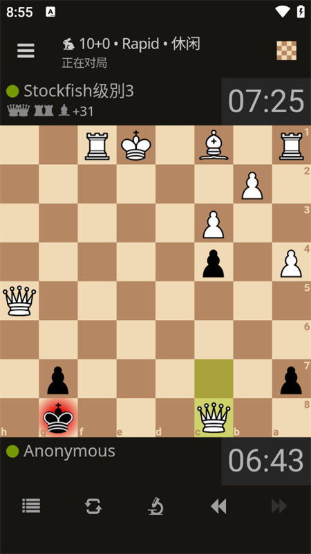 游戲攻略截圖4