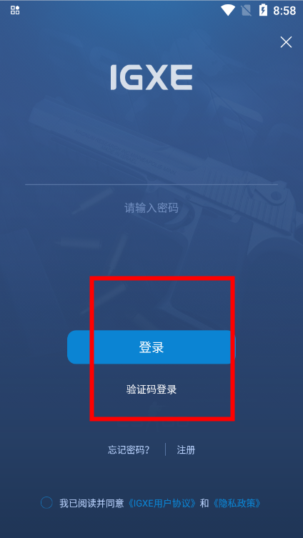igxe交易平臺(tái)漢化版