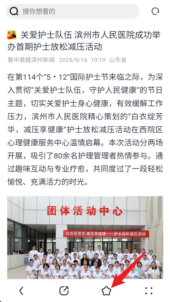 飛覓瀏覽器