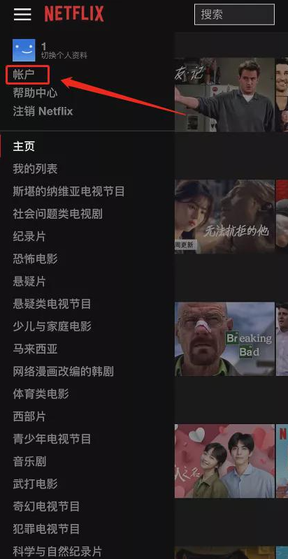 網(wǎng)飛(netflix)