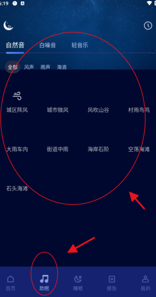 松鼠睡眠
