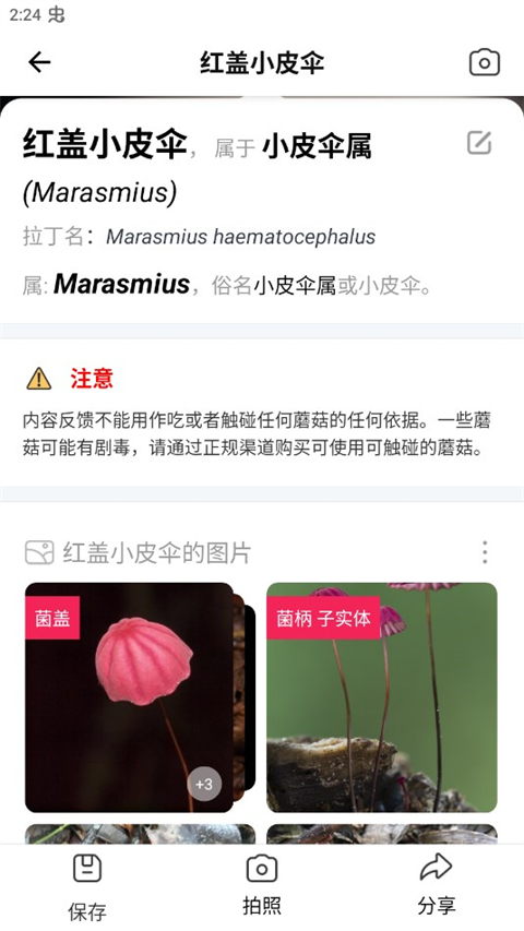 蘑菇識別掃一掃(Picture Mushroom)